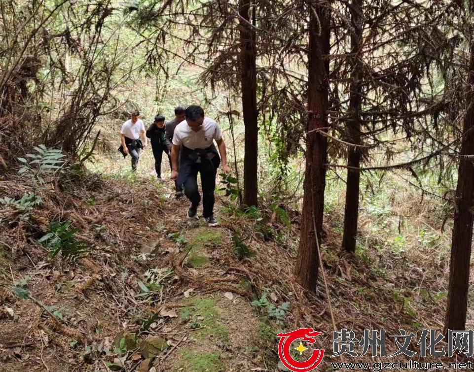 罗里乡：“常”字当头，森防工作“持续在线”