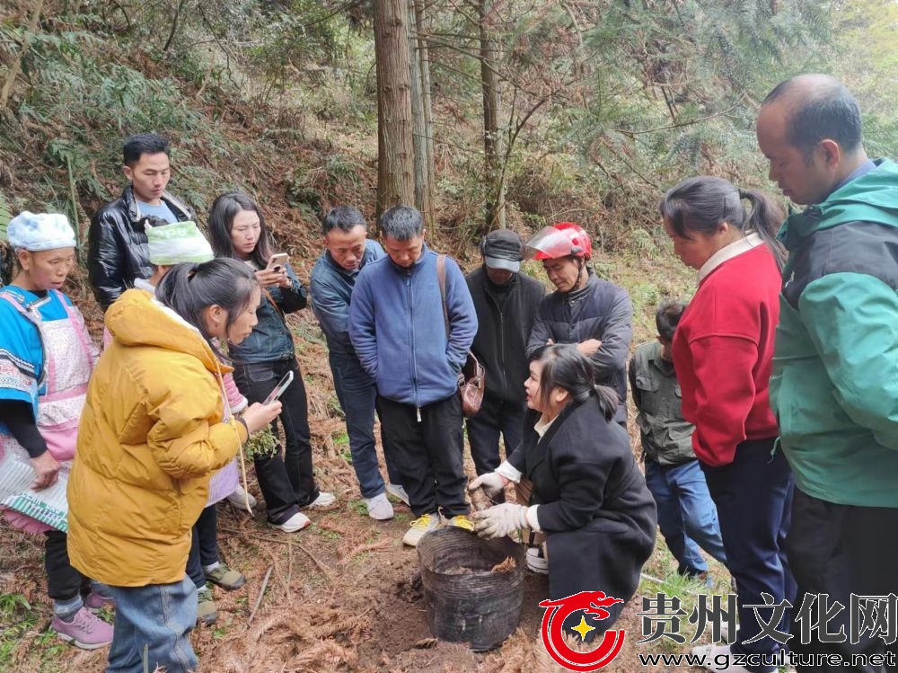 平寨乡紧抓三个重点谱写美丽乡村新篇章