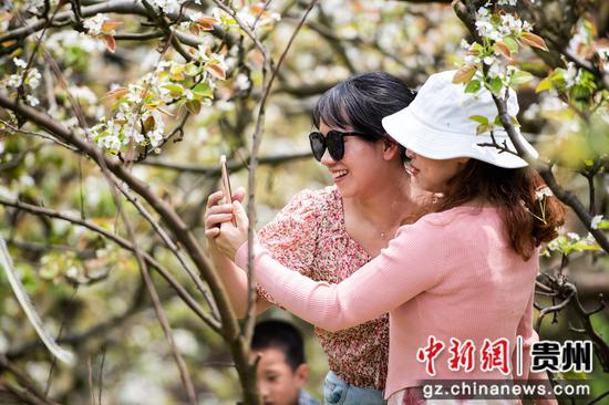游客在拍照 游客在拍照