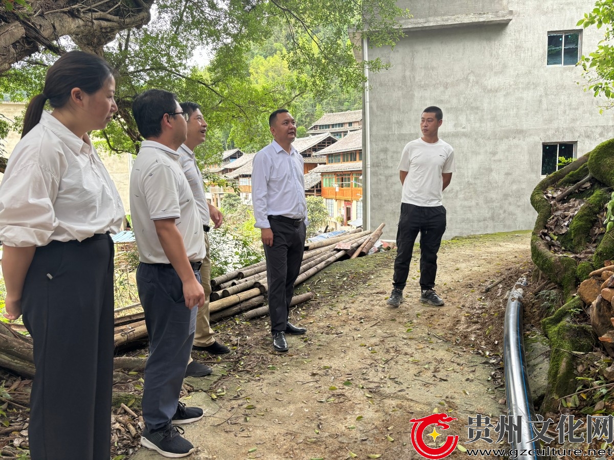 县人民政府副县长张平到雷洞乡调研指导水改电改工作