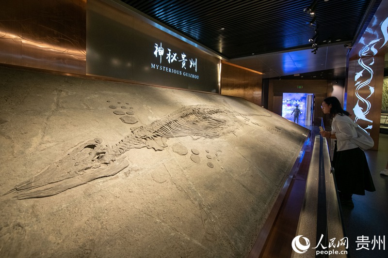 在贵州省地质博物馆，游客正在参观游览。人民网记者 翁奇羽摄