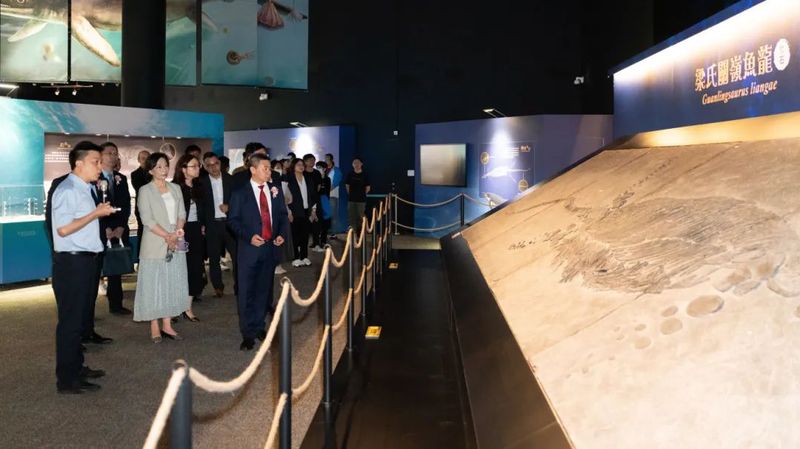 参展人员正在参观梁氏关岭鱼龙化石（关岭文-FZ1002645901.jpg