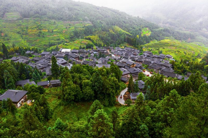 DJI_0447.jpg