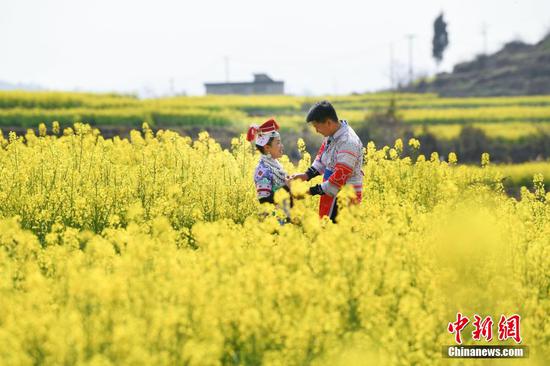 图为民众身着苗族服饰在油菜花田进行拍照。陈孝新摄 图为民众身着苗族服饰在油菜花田进行拍照。陈孝新摄