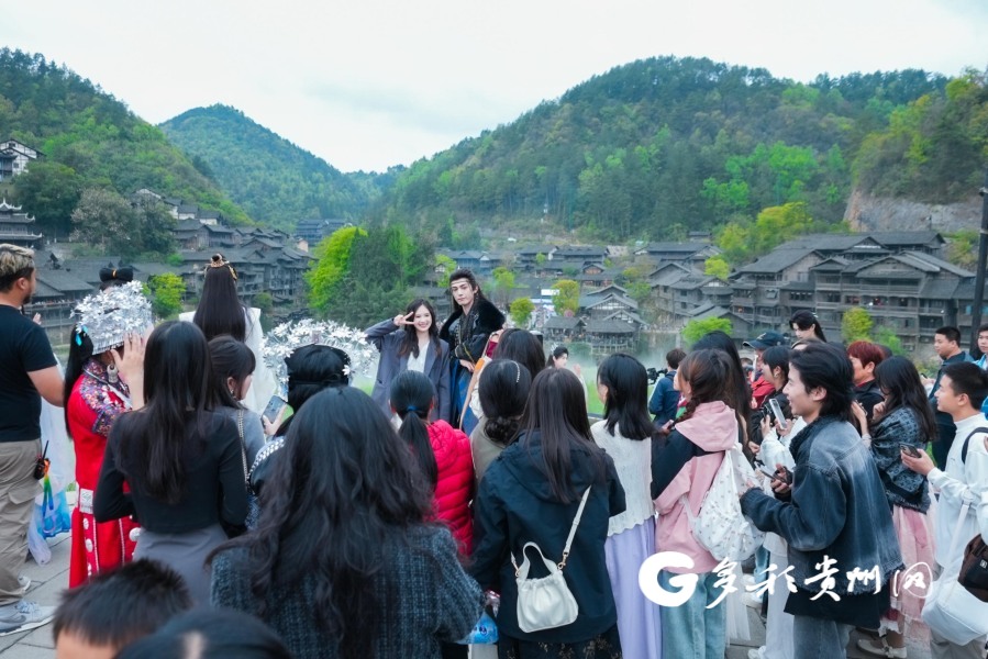 322万游客奔赴“茶花旅”！清明假期遵义春光醉美