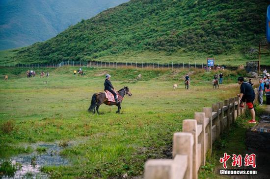 可以在西南地区海拔最高、面积最大的草场——乌蒙大草原,策马奔腾。 可以在西南地区海拔最高、面积最大的草场——乌蒙大草原,策马奔腾。