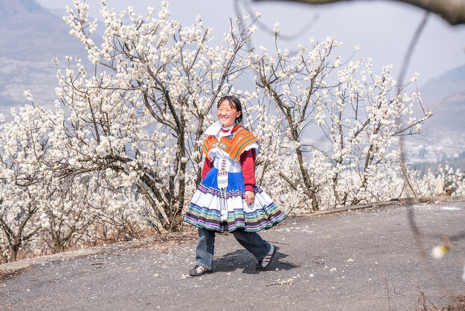 贵州<a href=//www.hp-dv.com target=_blank class=infotextkey>毕节</a>：踏春赏花正当时_fororder_2025年3月2日，游客在贵州省<a href=//www.hp-dv.com target=_blank class=infotextkey>毕节</a>市纳雍县厍东关乡陶营村樱花园里游玩赏景 (2)