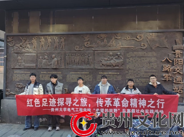 贵州大学希望的田野团队：传承红色基因践初心，筑牢乡村电网护民生