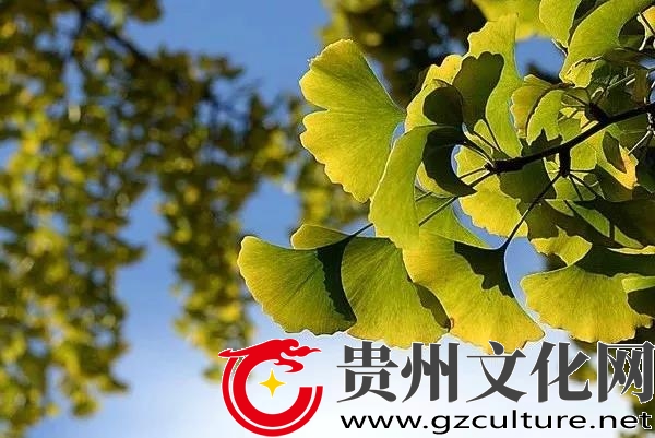 微信图片_20210720224342.jpg