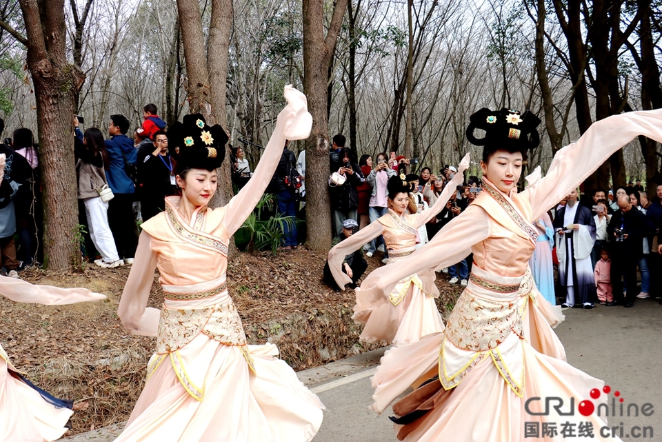 当樱花与交响乐相遇 <a href=//www.hp-dv.com target=_blank class=infotextkey>贵阳</a>路边音乐会·贵安樱花园浪漫开唱_fororder_国风表演 (4).JPG