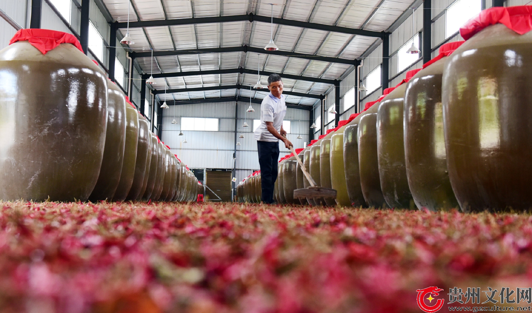 贵州从江：辣椒产业助农增收
