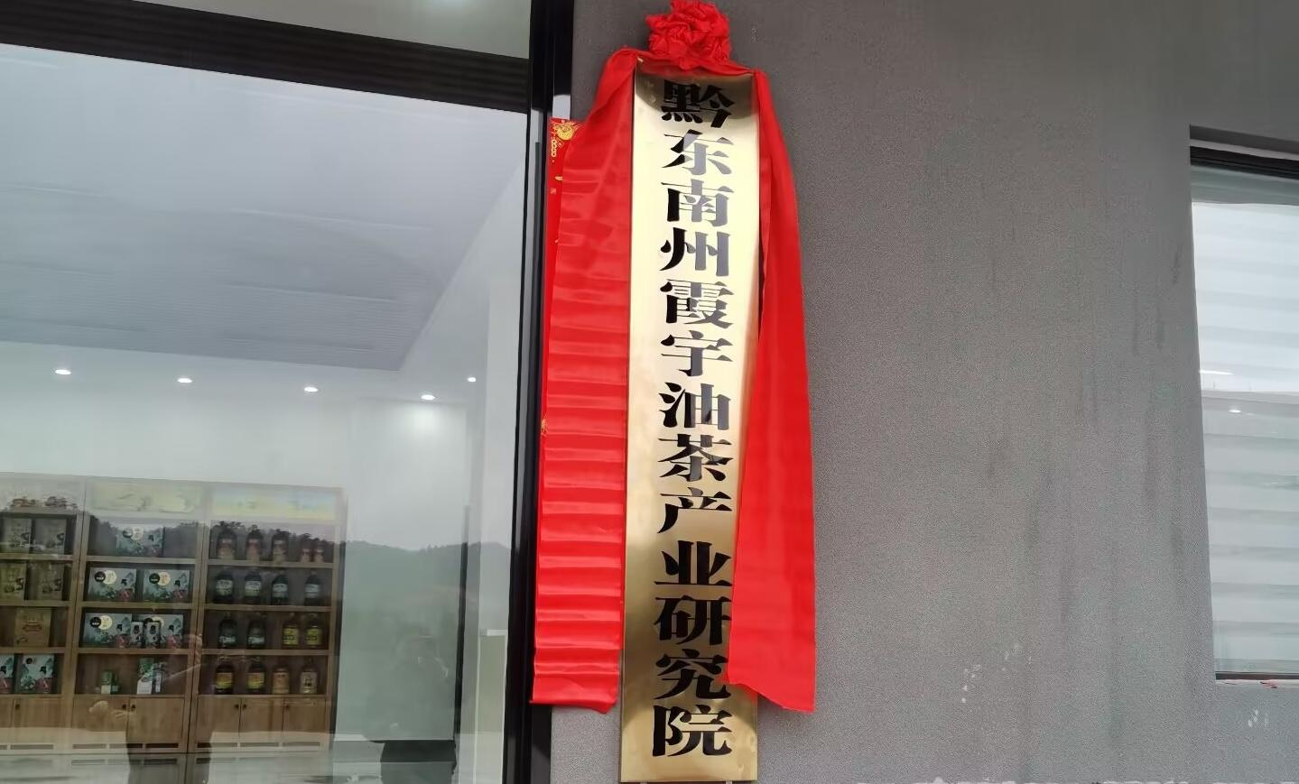 黔东南州霞宇油茶产业研究院在黎平揭牌 科技赋能油茶新发展