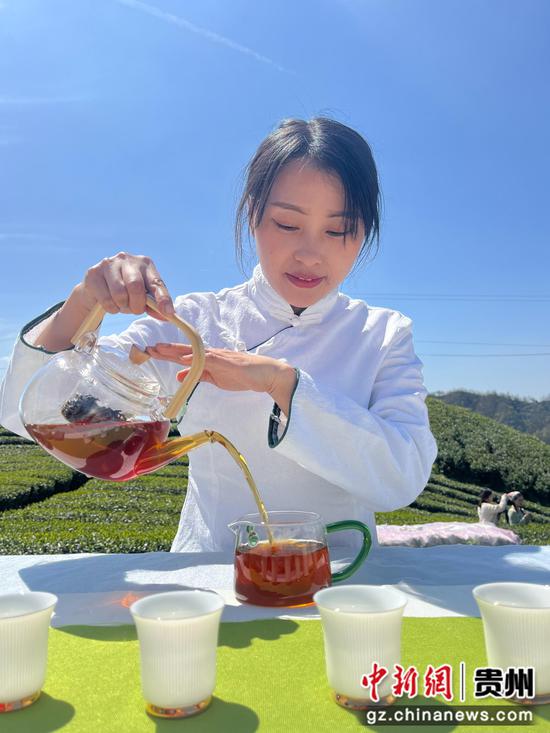 茶艺师泡茶 茶艺师泡茶