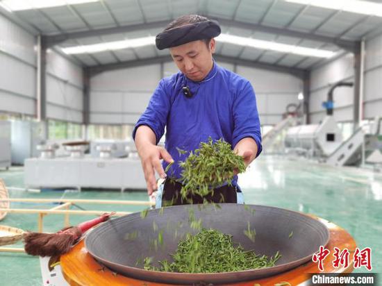 图为“95后”苗族小伙杨庚洪对茶叶进行杀青。周燕玲 摄 图为“95后”苗族小伙杨庚洪对茶叶进行杀青。周燕玲 摄