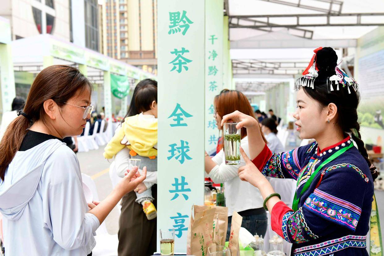 贵州茶香飘泉城——山东济南一场茶叶推介会上的见闻