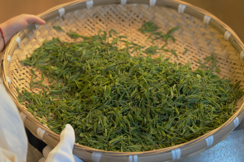 2025“毕节有茶 毕节有好茶 毕节茶干净”春茶品鉴活动即将启幕