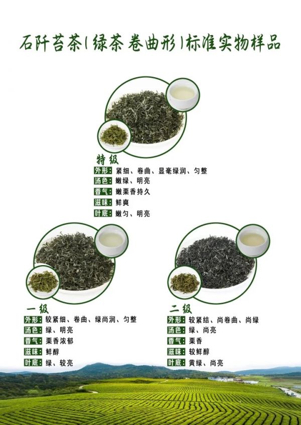 2.webp