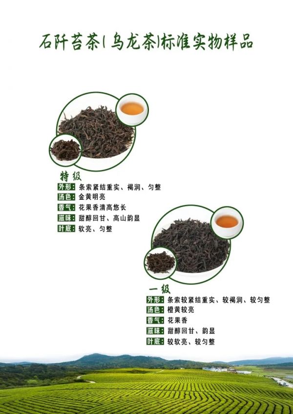 5.webp