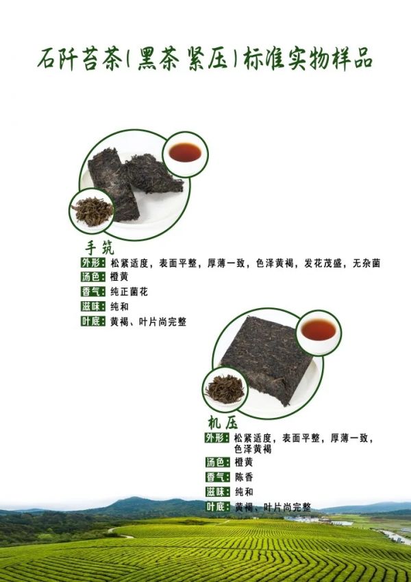 9.webp