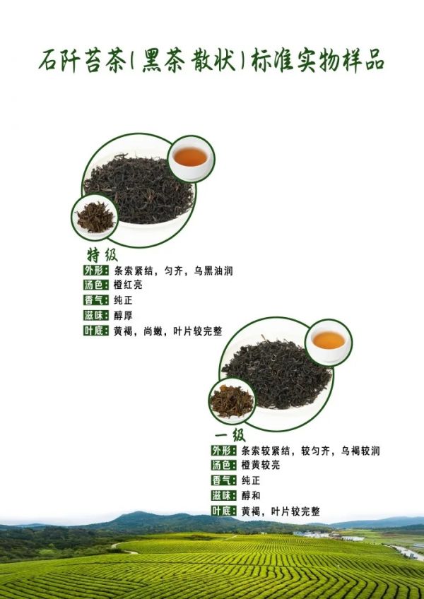 8.webp