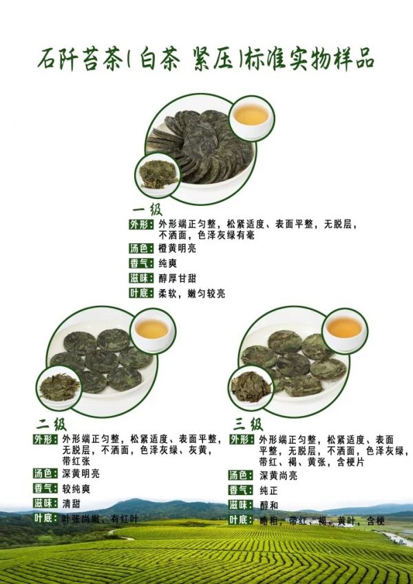 7.webp
