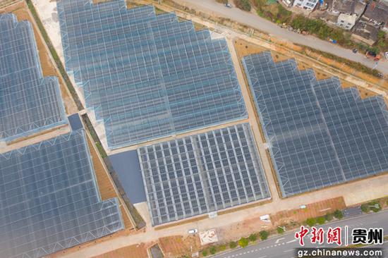 2月3日拍摄的贵州省<a href=//www.hp-dv.com target=_blank class=infotextkey>黔东南</a>苗族侗族自治州从江县淫羊藿标准化育苗基地(无人机照片)。 2月3日拍摄的贵州省<a href=//www.hp-dv.com target=_blank class=infotextkey>黔东南</a>苗族侗族自治州从江县淫羊藿标准化育苗基地(无人机照片)。