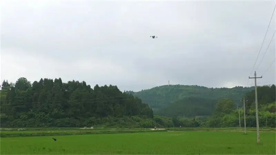 玉屏水稻夏管上科技