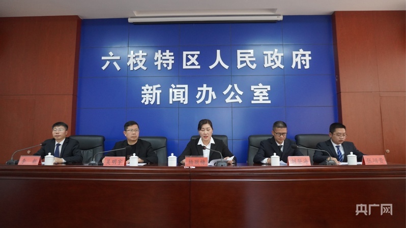 贵州六枝：推进现代化工业体系构建取得新成效、新突破