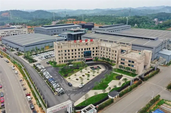 大龙开发区：奋进拼搏 擘画高质量发展新画卷