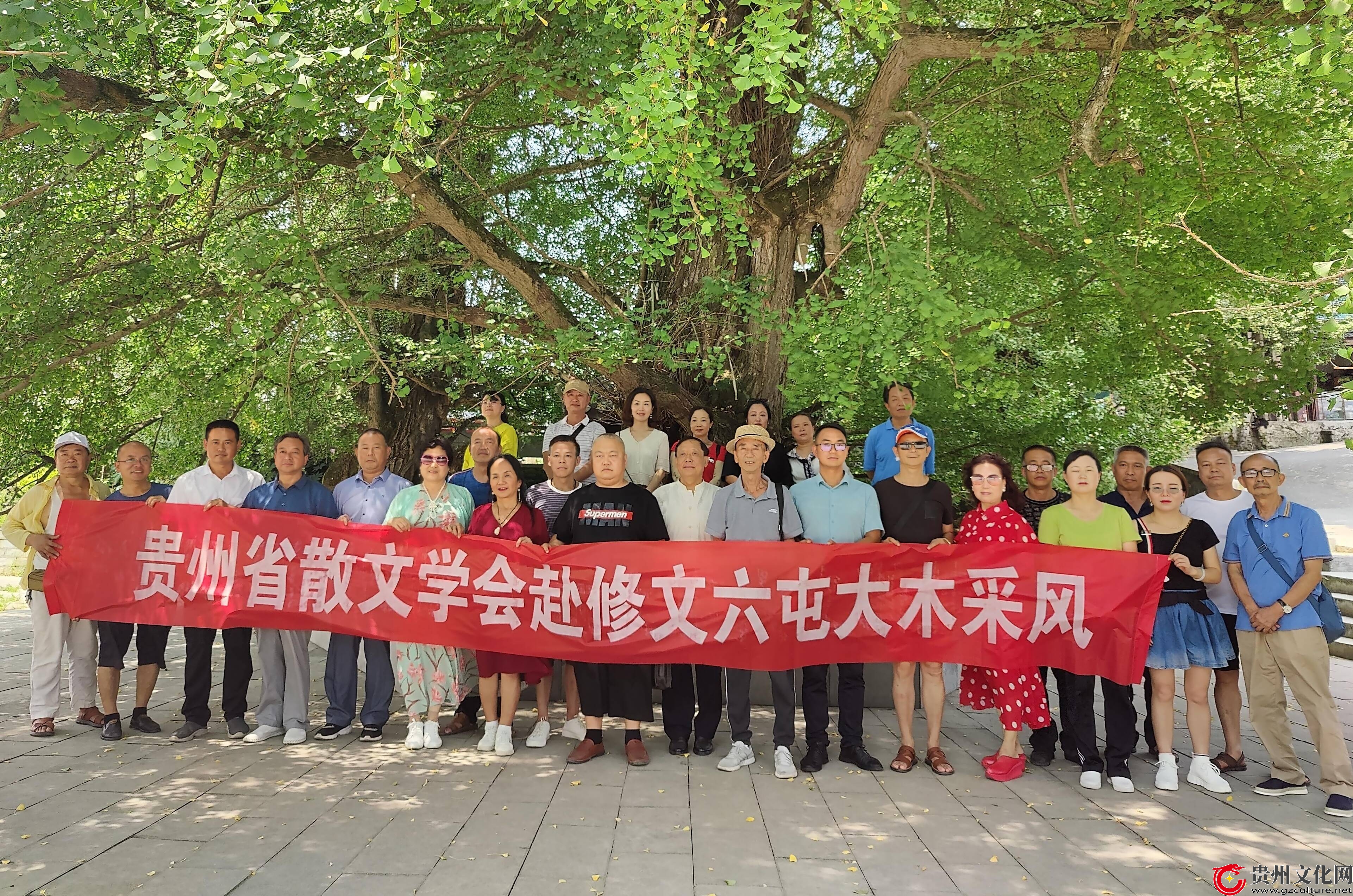 贵州省政府办公厅 公开 在线 访谈 民生 贵州省政府办公厅 公开 在线 访谈 民生