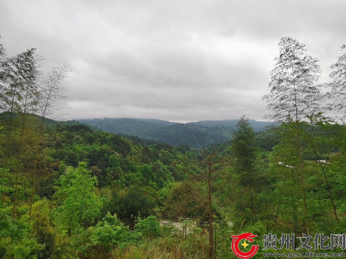 德顺乡蜂蜜养殖生态环境.jpg