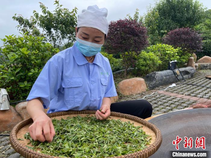 贵州丹寨：荒山种出致富茶智慧管理全覆盖