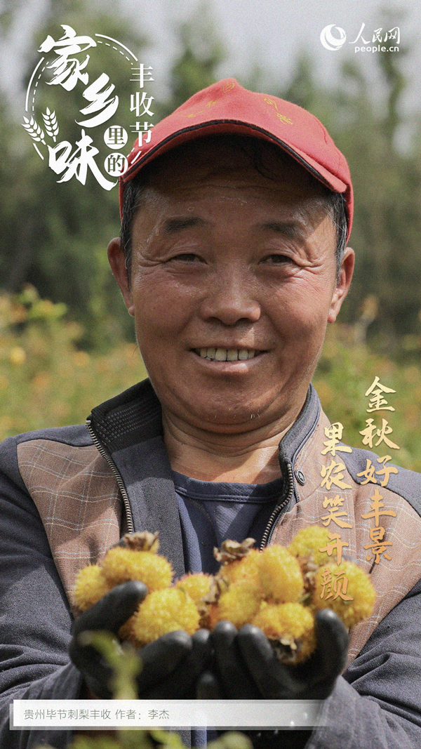 贵州<a href=//www.hp-dv.com target=_blank class=infotextkey>毕节</a>成熟的刺梨。