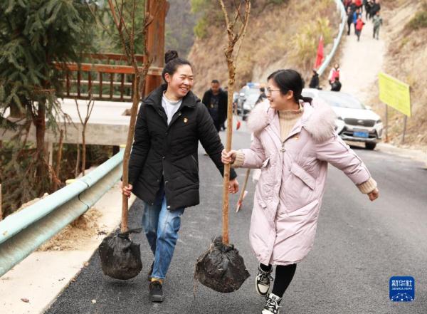 贵州：义务植树为大地添绿
