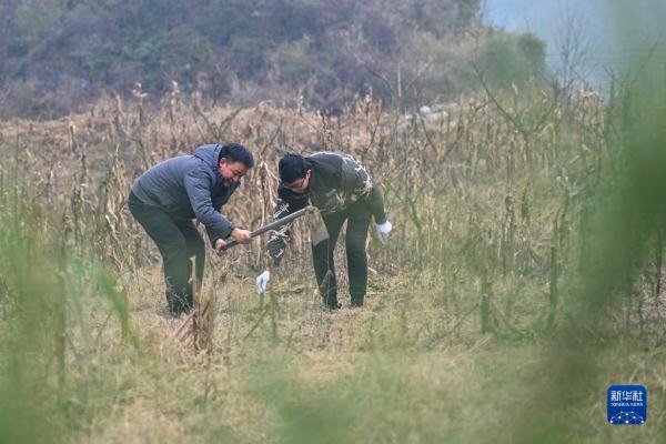 贵州：义务植树为大地添绿