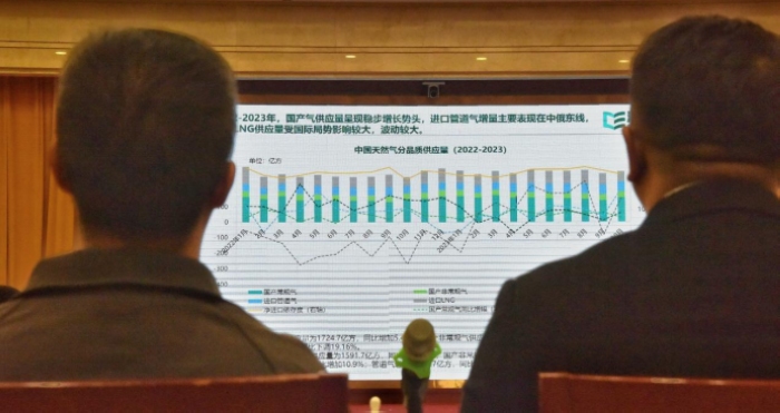 山东清能咨询服务有限公司相关负责人讲解中
