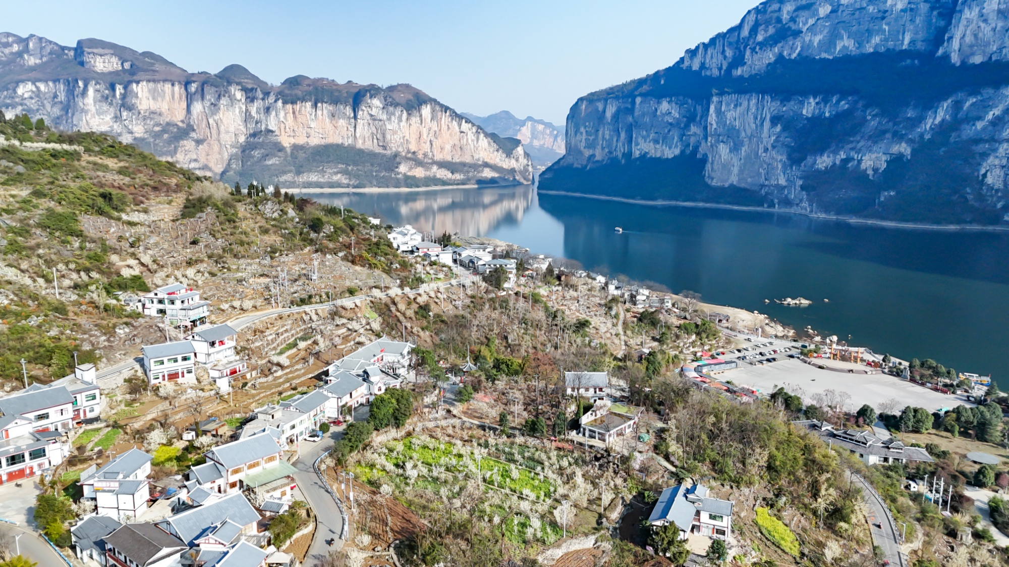 贵州黔西：樱桃花开映春光 乡村旅游焕新颜