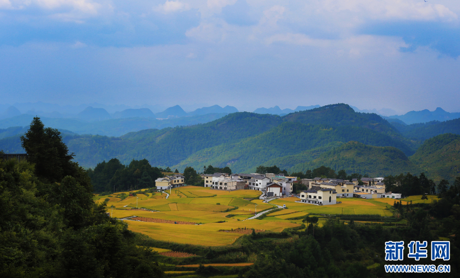 乡村振兴在行动｜贵阳：村容焕新激活村旅“新经济”