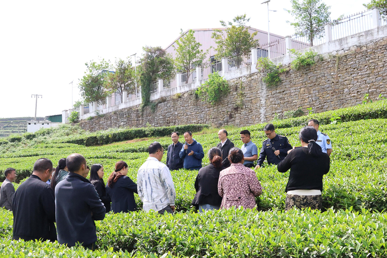 贵州省2025年“放心农资下乡进村”宣传暨茶叶绿色防控现场培训会在紫云举行