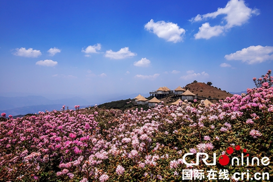 收下这份“夏季清凉邀约” <a href=//www.hp-dv.com target=_blank class=infotextkey>六盘水</a>避暑季活动“上新”_fororder_微信图片_20250427122513