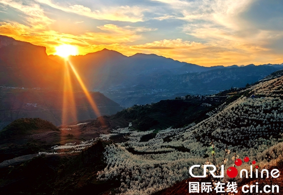 收下这份“夏季清凉邀约” <a href=//www.hp-dv.com target=_blank class=infotextkey>六盘水</a>避暑季活动“上新”_fororder_微信图片_20250427122516