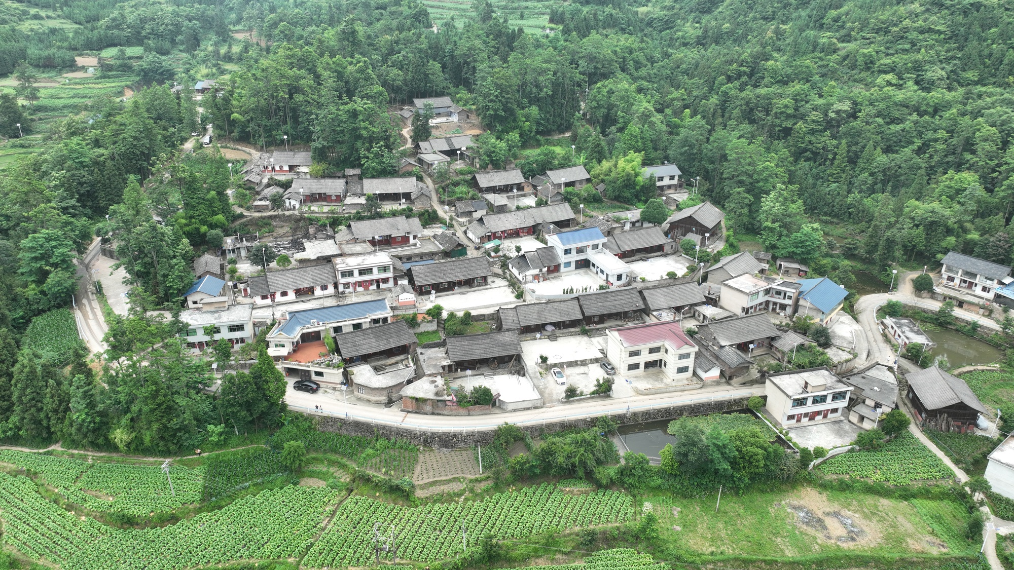 贵州瓮安“村播”点亮助农增收新赛道
