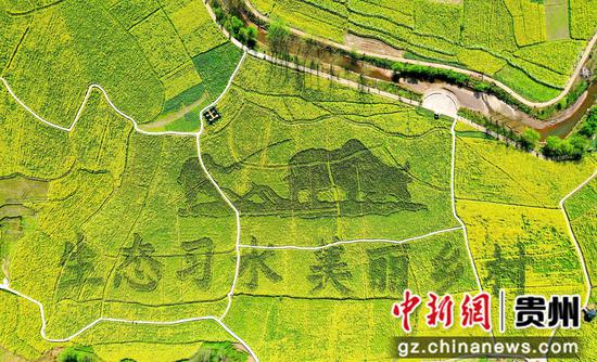 温水镇梨园村美丽乡村建设示范点 习水县融媒体中心供图 温水镇梨园村美丽乡村建设示范点 习水县融媒体中心供图
