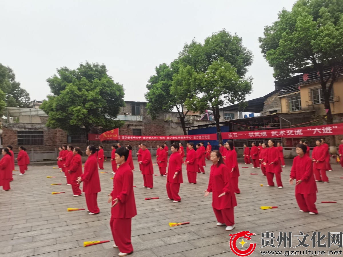 “缤纷五月·状武之魂”武术交流“六进”活动在金沙举行