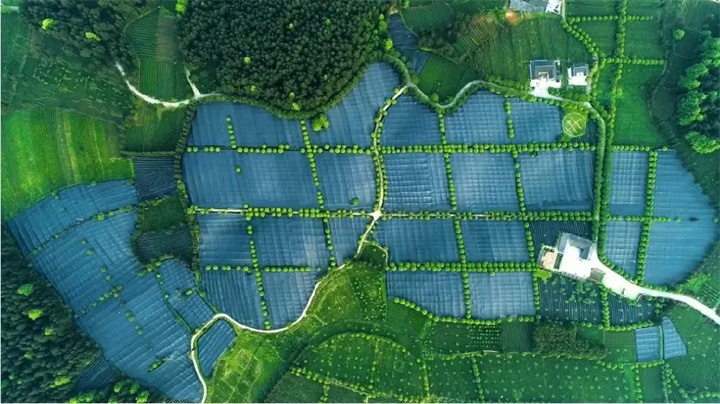 贵州：越山海弄大潮，当全球制造业的新支点_fororder_17414391223697