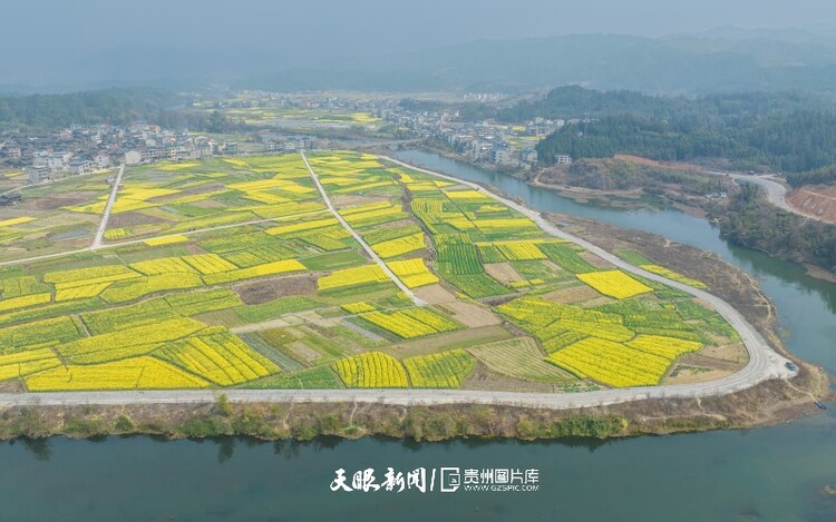 通往春天的路上 领略贵州最美风景线
