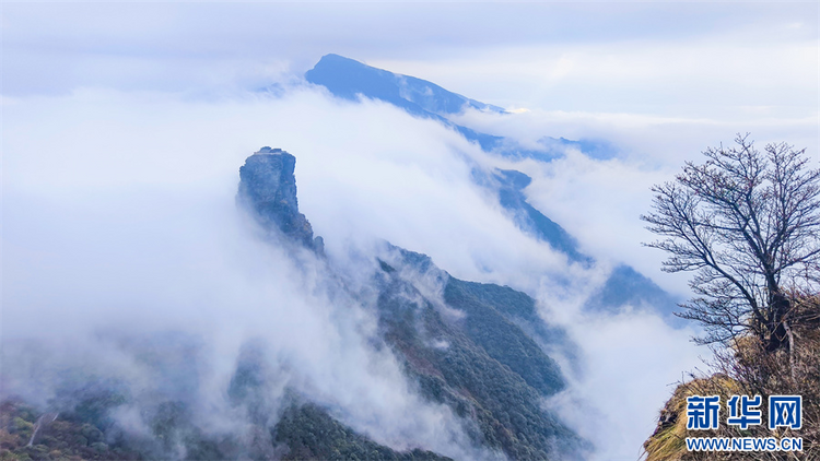 探秘冬日梵净山