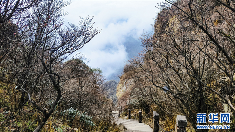 探秘冬日梵净山