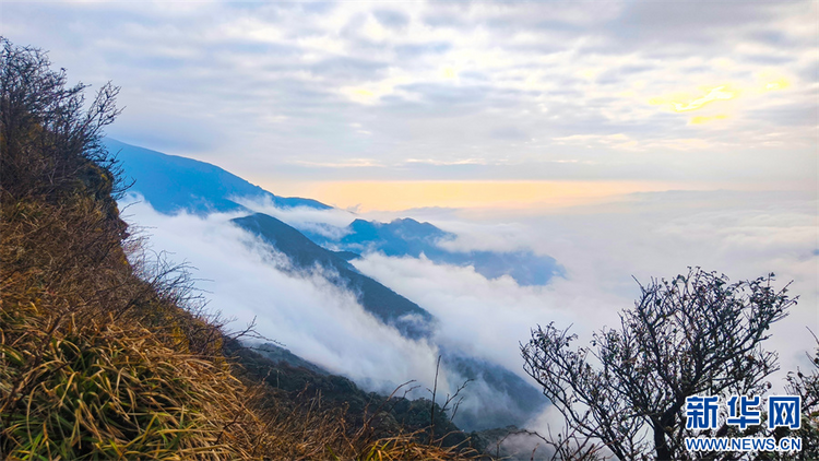 探秘冬日梵净山