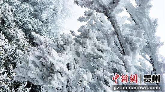 在贵州省道真仡佬族苗族自治县大沙河境内拍摄的雪景。 在贵州省道真仡佬族苗族自治县大沙河境内拍摄的雪景。